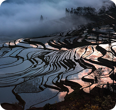 Yunnan